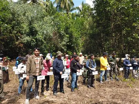 Aksi Tanam 5000 Pohon Mangrove di Pantai Utara